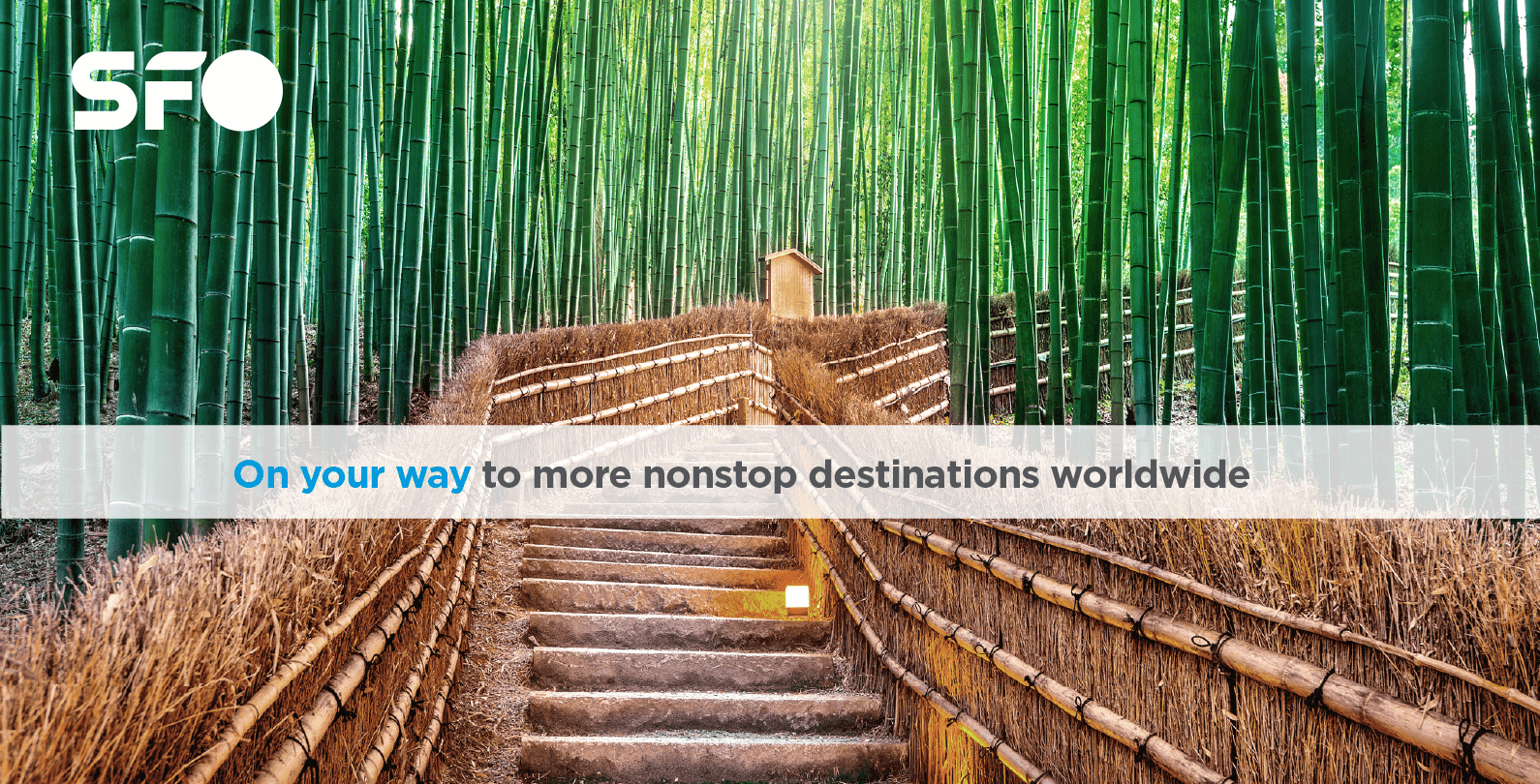Nonstop from SFO campaign